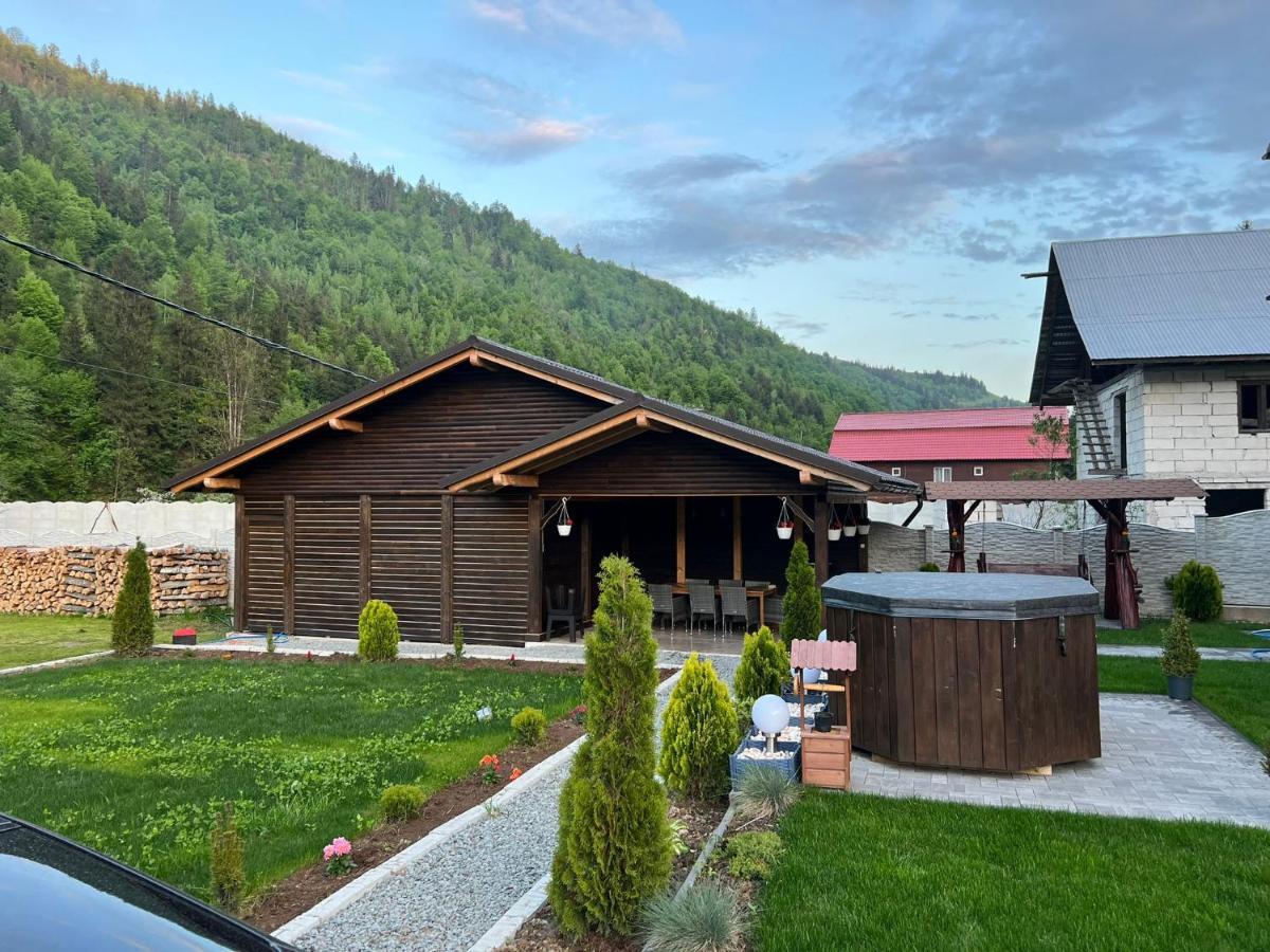 Hotel Casa Cernat à Albac Extérieur photo