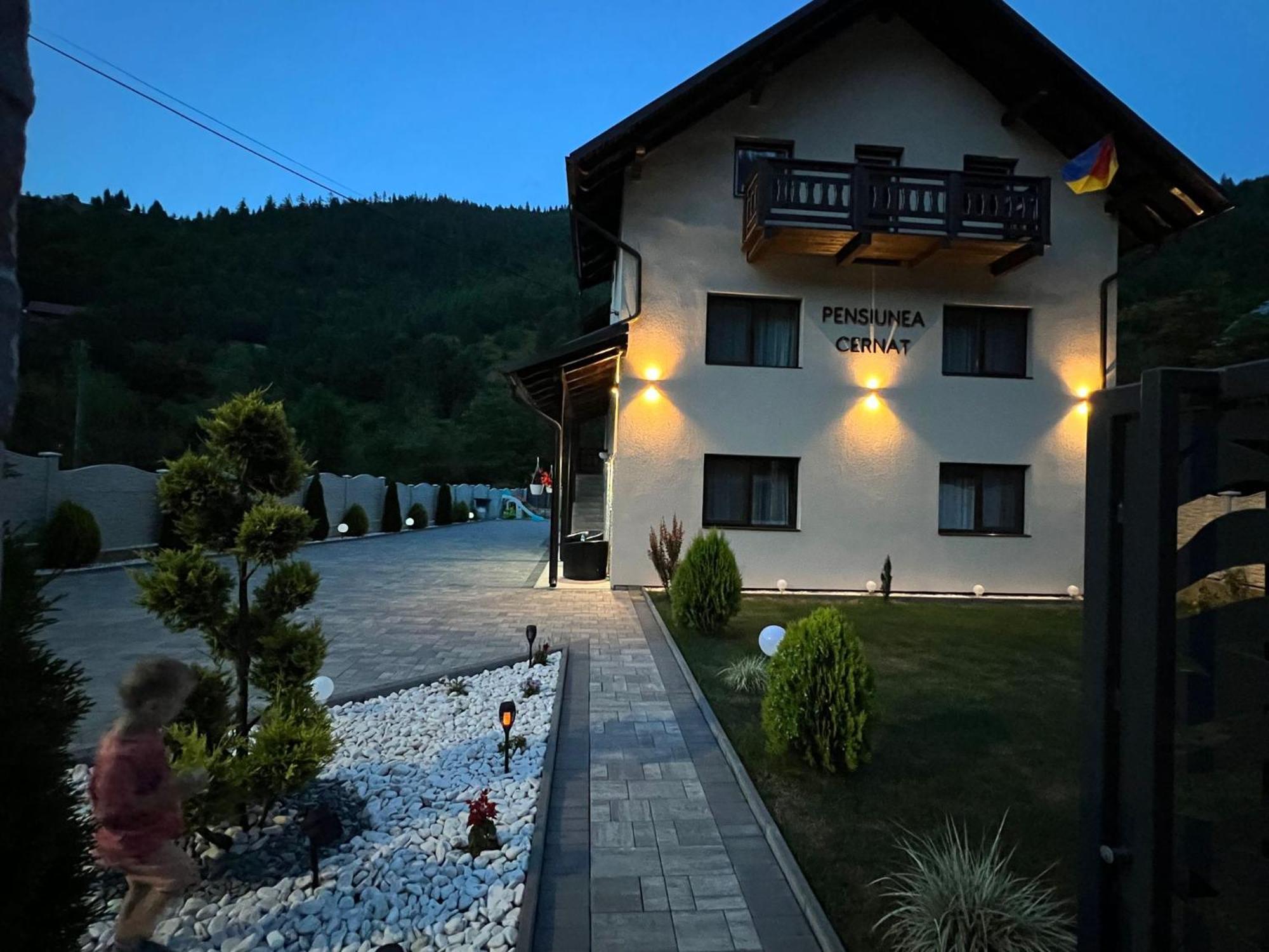 Hotel Casa Cernat à Albac Extérieur photo